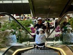 -瑞虹新天地月亮湾