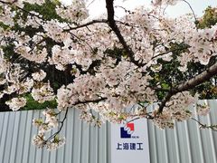 -上海体育场(地铁站)