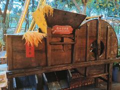 -陶缘一号·四季缘·老字号顺德菜·户外婚礼家宴(西滘店)