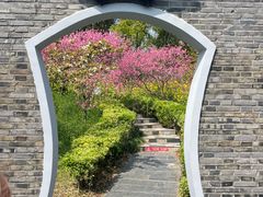 -南汇桃花村