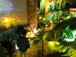 -恐龙探索乐园(磁器口店)