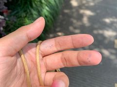 -德泓面馆(颐高店)
