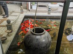 -野蔓果·山野菜(西湖景区·龙井茶田店)