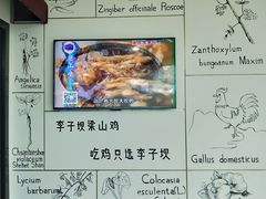 -李子坝梁山鸡(北碚万达五鸡哥店)