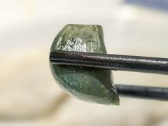 -东方饺子王(大屯路店)