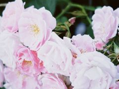 -贡湖湾湿地公园