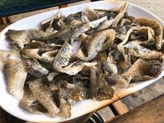 -章记正宗南岗鱼蛋火锅