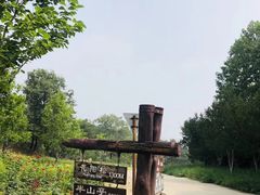 -北京西山国家森林公园