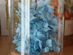 -知物癖(牛王庙店)