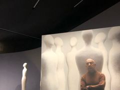 -米兰马尔彭萨国际机场