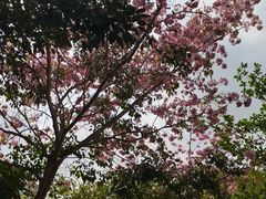 -海南热带海洋学院(三亚校区)