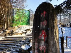 -横道河子东北虎林园