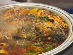 -川味堂·四川豆花(八卦岭店)