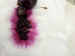 -海之蓝宾馆(苏州拙政园店)