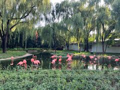 -石家庄市动物园