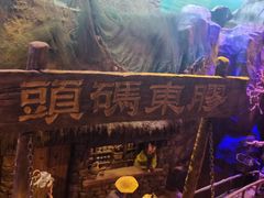 -华夏文旅海洋公园