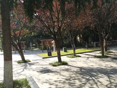-木塔寺遗址生态公园