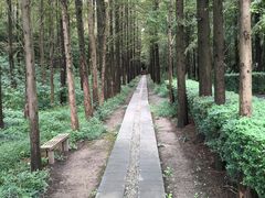 -同里国家湿地公园