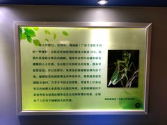 -上海昆虫博物馆