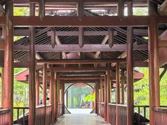 -南汇桃花村