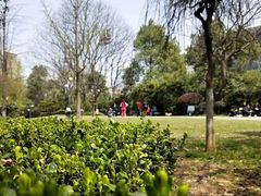 -白沙古井