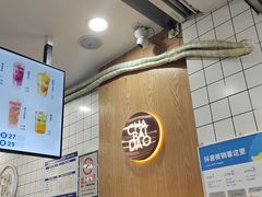 -茶百道(七星路店)