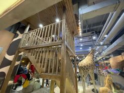 -鲁比猴非洲探索部落(喜盈门店)