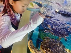 -烟台海昌鲸鲨海洋公园