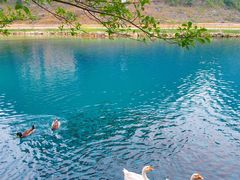 -靖西鹅泉风景区