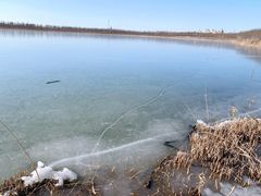 -天津东丽湖风景区
