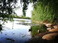 -云南师范大学(一二一西南联大校区)