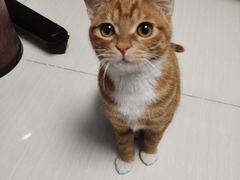 -子乐宠物医院