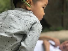 -碓臼峪自然风景区