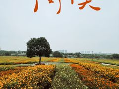 -花博汇(知音花月夜)