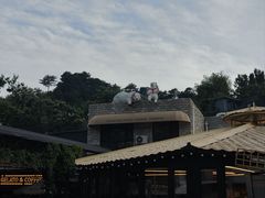 -京北渔家傲