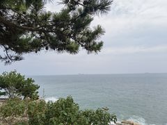 -小麦岛公园