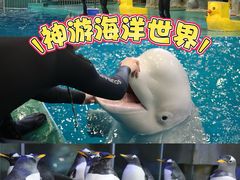 -威海华夏城景区