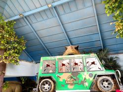 点击看大图 -宝燕乐园(闵行旗舰店)