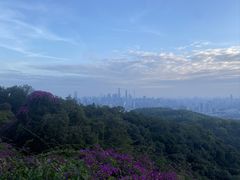 -广州市白云山风景名胜区