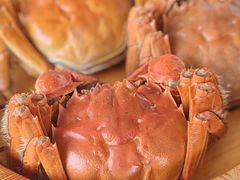 -乡乐园蟹庄·阳澄湖农家乐