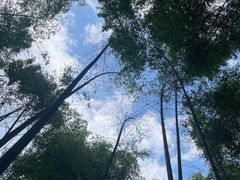 -黄山翡翠谷景区