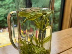 -将军关探险漂流