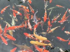 -顺德了能馆(虎门店)