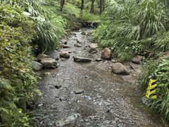 -杭州花家山庄