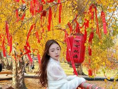 -可可托海景区