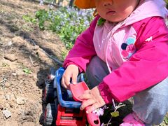 -长白岛森林公园