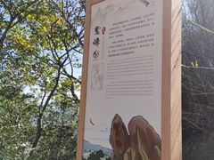 -北京鹫峰国家森林公园