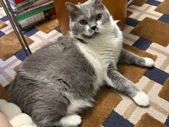 -美联众合动物医院·24h转诊中心