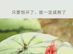 -甜心闲生传统手工冰粉(人民广场店)