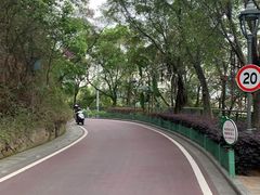 -金鸡山公园